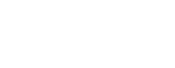 Seoul Robotics